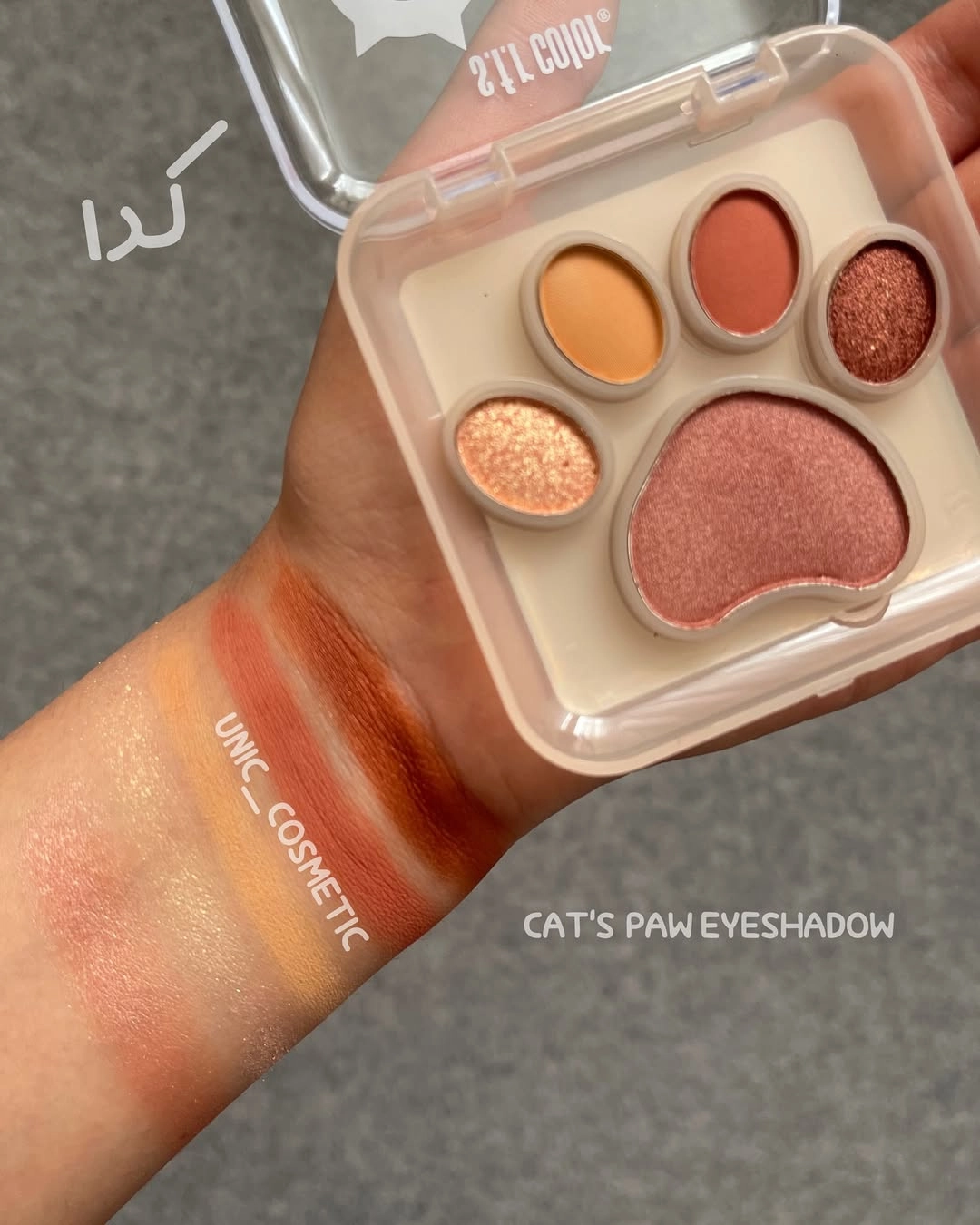 پالت سایه چشم با طرح پنجه گربه پالت سایه چشم با طرح پنجه گربه